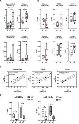 miR-221-3p Drives the Shift of M2-Macrophages to a Pro-Inflammatory Function by Suppressing JAK3/STAT3 Activation